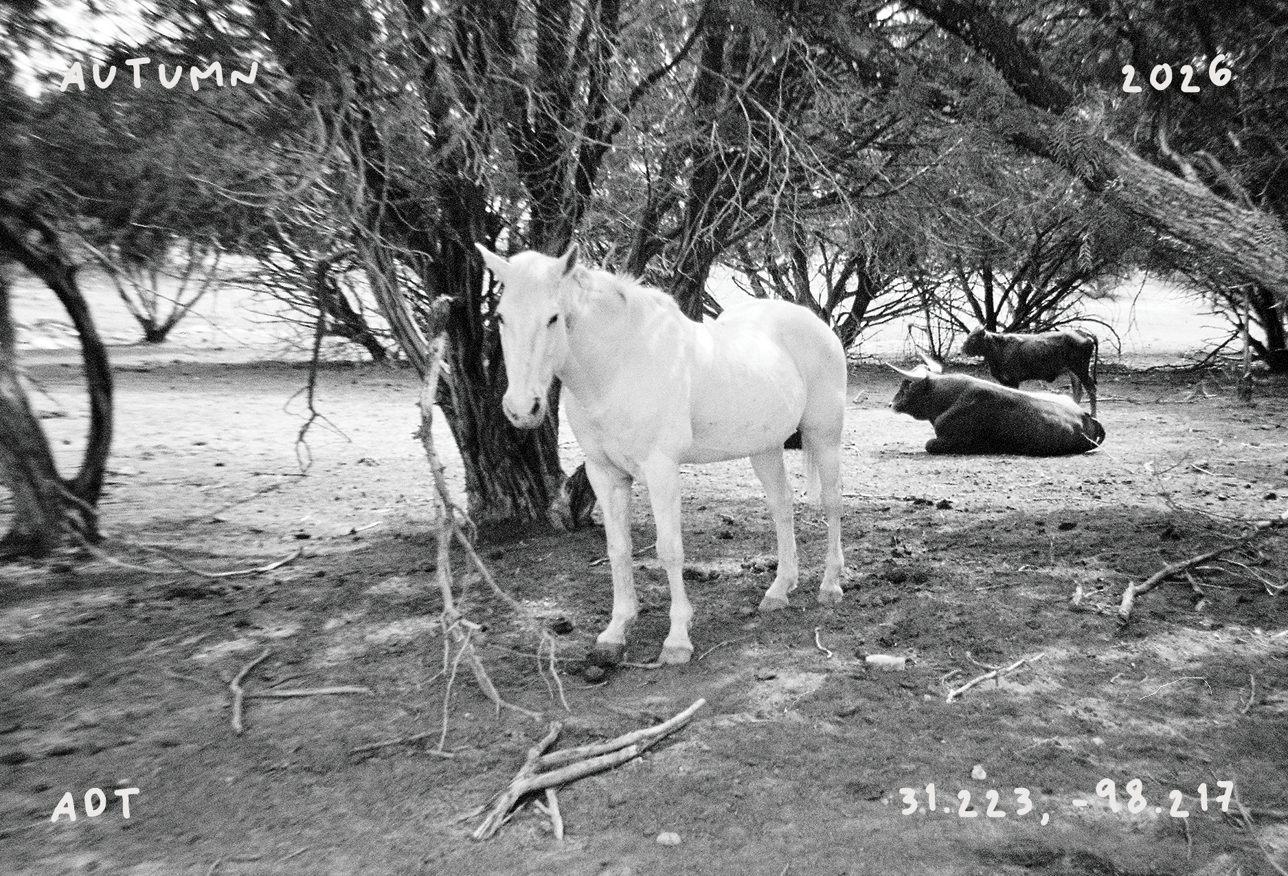front of postcard